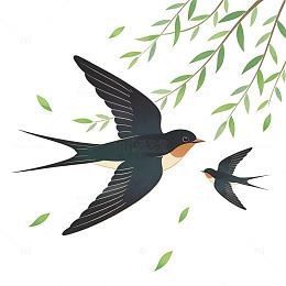 燕子插画春天景象