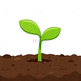 卡通植物生长土壤插画