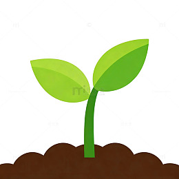 简约风植物发芽插画设计素材