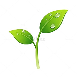 绿色植物叶片矢量插画