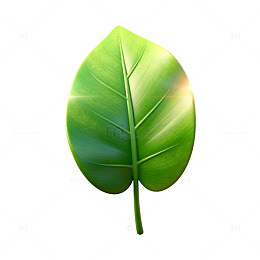 清新绿叶插画设计素材