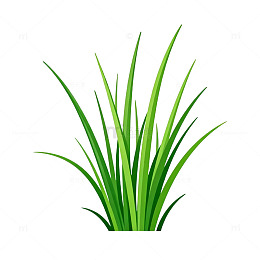 绿色草丛矢量插画素材