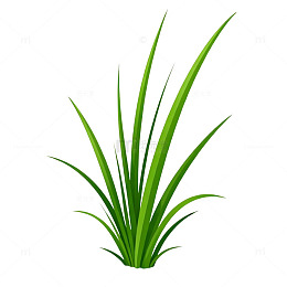 透明草丛矢量插图