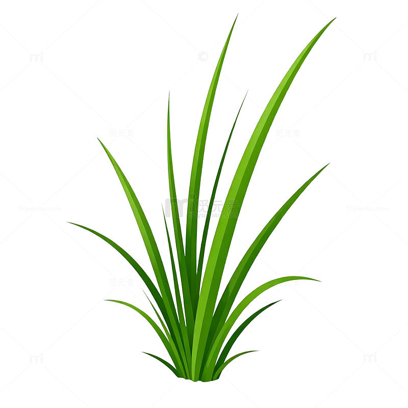 透明草丛矢量插图