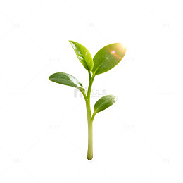 绿色成长希望苗芽