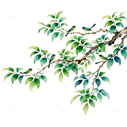 水墨画树枝小鸟装饰画