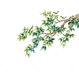 水墨中国画树枝