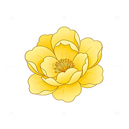 淡雅黄色花朵插画素材