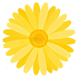 卡通风格黄色雏菊插画