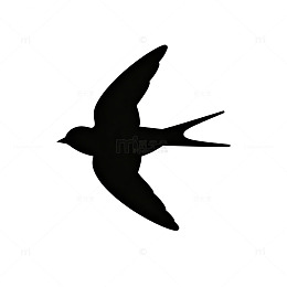 简约飞鸟剪影艺术图案