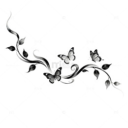 黑白蝴蝶藤蔓装饰图案