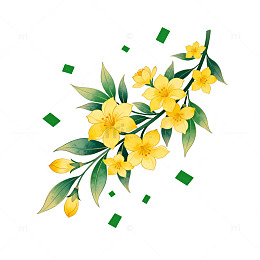 插画风格迎春花装饰图案