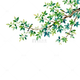 水墨画风格树枝插画