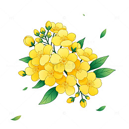 卡通风格黄色花卉装饰图案