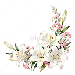 百合花束插画设计素材