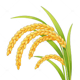 卡通稻谷插画设计素材