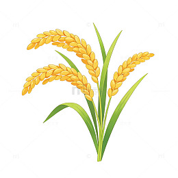 卡通水稻插画素材