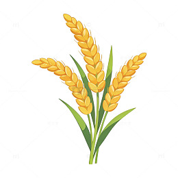 卡通小麦矢量插画素材