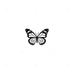 黑白蝴蝶简约图案设计元素