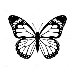 黑白蝴蝶图案剪影设计元素