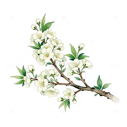 水墨风春季花卉插画素材