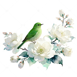 水彩花鸟图
