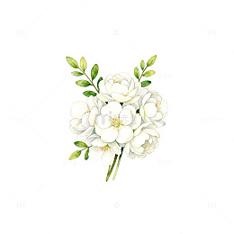 清新手绘白色花卉装饰图案