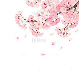 樱花盛开粉色浪漫插画