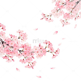 樱花盛开水墨画