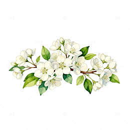 手绘白色花卉插画素材