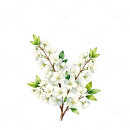 水彩花卉爱心图案设计素材