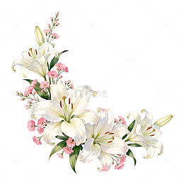 水彩百合花束设计素材