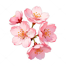 樱花盛开插画素材