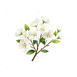 清新白花插画树枝素材