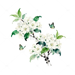 水彩花卉蝴蝶装饰画