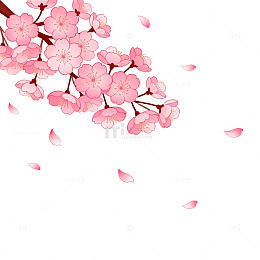 樱花盛开插画设计素材