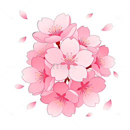 樱花盛开矢量插画