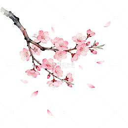 水彩樱花枝条插画设计素材