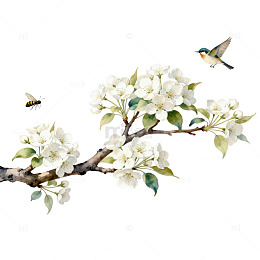 淡雅花鸟图装饰画