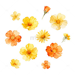 水彩花卉装饰画素材