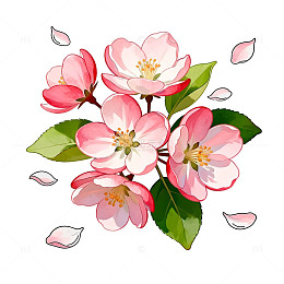 粉色樱花插画素材
