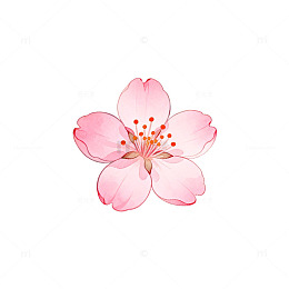 樱花插画设计素材