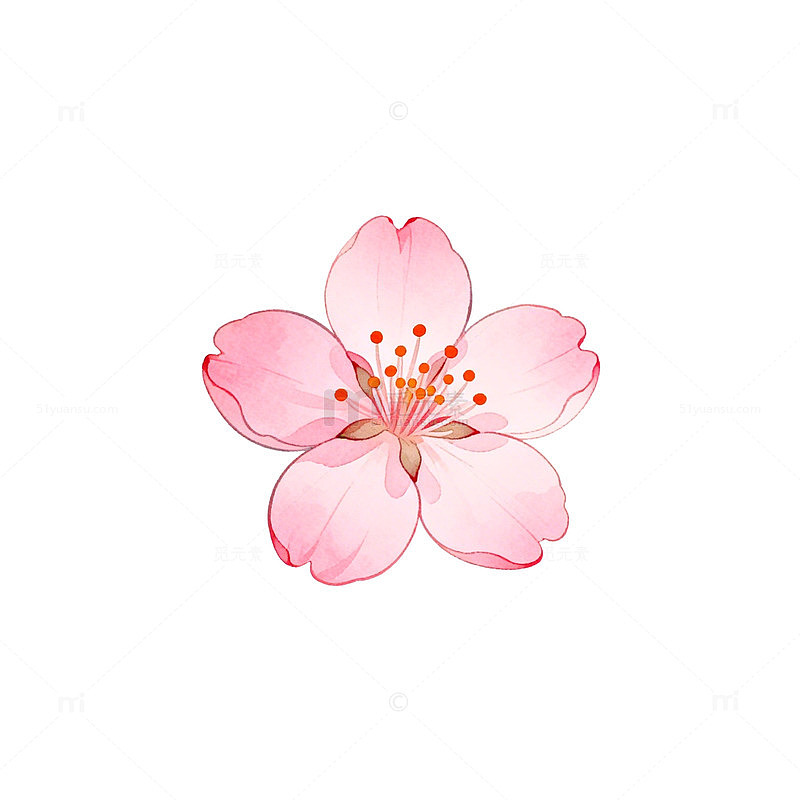樱花插画设计素材