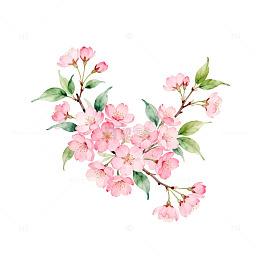 水彩樱花花卉装饰插画