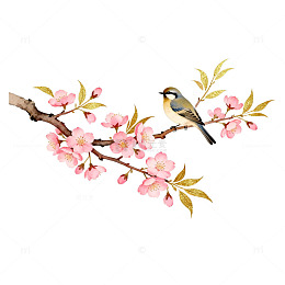 水彩花鸟图春天元素插画素材