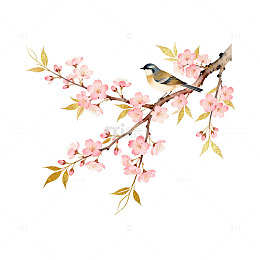 水彩花鸟图春天元素插画