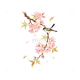 水彩樱花小鸟装饰画素材