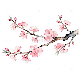 樱花盛开水彩画