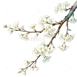水墨风格梨花盛开绘画素材