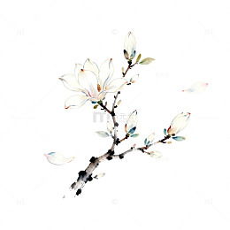 水墨玉兰花枝国画风格装饰画